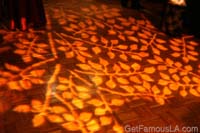 IMG_0573